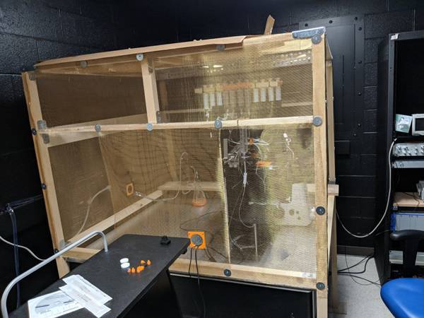 A faraday cage, covered by brass shielding meshes in the data center.