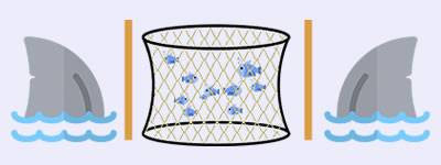 A picture shows copper alloy offshore aquaculture net can defend the predators.